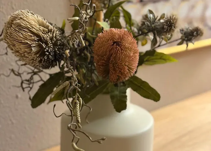 公寓 Bellevue 哈默尔恩